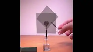Three Polarizing Sheets: quantum mechanical behaviorwith light polarization.#shorts #physics