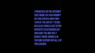 R.I.P. grumpy cat rest easy meme lord 2012-2019