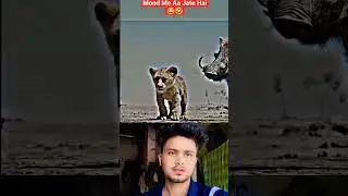 Simba movie comedy Reaction video #Shorts #comedyshorts #shortsbeta