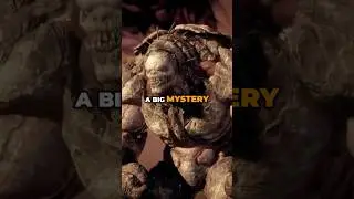 Why were there NO Berserkers in Gears of War 2? | Gears of War Lore