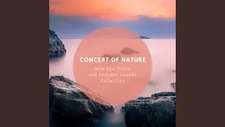 Heart of Nature