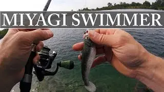 BEAST COAST Miyagi Swimmer - Swimbait - TWO MINUTE THURSDAY