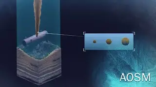 Socolofsky and Ravens on Oil Spill Modelling - 2018