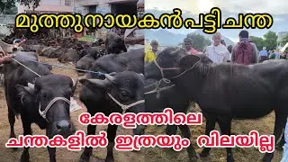 എല്ലാത്തിനും വിലകൂടി #anwarvlog #animals  #cattlemarket #Cowmarket #buffalomarketvideotamilnadu 