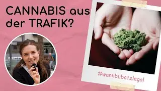 Cannabis aus der Trafik?! Was in &Ouml;sterreich jetzt erlaubt ist | POLITISCH AKTUELL