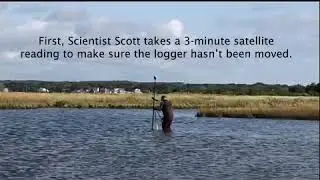 Salt Marsh Adventure