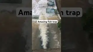 Amazing fish trap in Cambodia