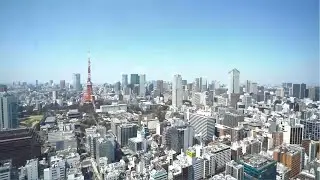 Why you should consider a career with Hays Japan