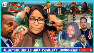 HALLAA YEROO IRRAATTII ADDEE SAMIYAA DHAGEYFADHAA OROMO 