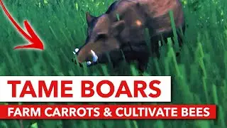 How to Tame Boars, Farm Carrots & Cultivate Bees - Valheim Tips and Tricks