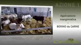 Conbiol | redazionale