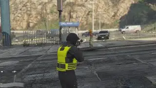 Basically the GTA Online experience on PC