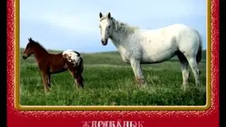 Үй жануарлары мен құстары