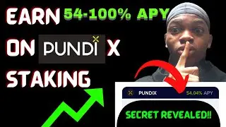 How To Stake Pundi x (Pundi x Staking In 2022) A Guide To Staking Pundi x (Staking Pundi x)