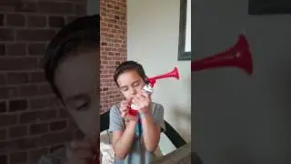 Dollar Tree store Air Horn review