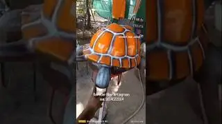 Tortoise fiber garden decorated item's @ravinderfiberartjagraon9583