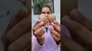 Terrace Garden Transformation Video Terrace Farming Kitchen Garden