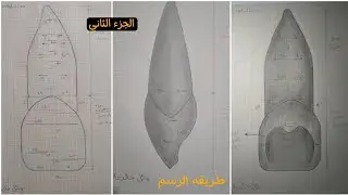 طريقه الرسم سن (central Incisor) الجزء الثاني