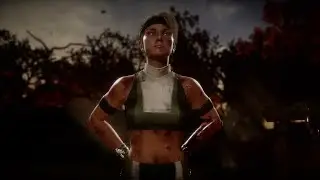 Лю Кан и Call of Duty в Mortal Kombat 11 Onine