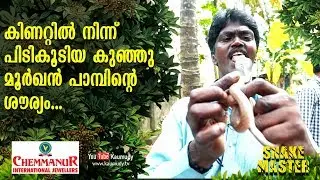 Angry Cobra rescued from the well | Snakemaster | Vava Suresh | EP 411 | Kaumudy TV