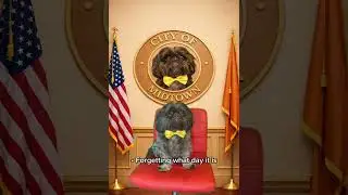 Mayor Pedro's January 9th address.