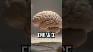 Unlock your brain's potential! #HealthDiscovery #Omega3 #BrainBoost