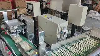 chopsticks toothpick packing machine In line