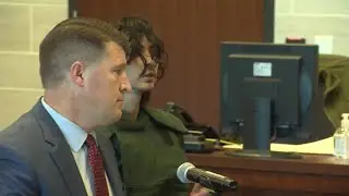 RAW: Davis serial stabbing suspect ordered to have psychiatric assessment during court appearance