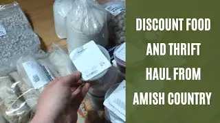 Salvage Grocery and Thrift Store Haul | Large Family Frugality