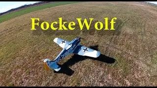 Focke Wulf Seagull - NGH 38 4stroke