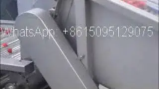 Strawberry Bubble Washing Machine