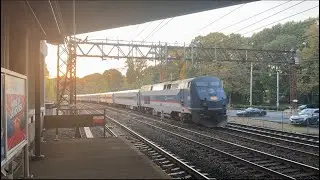 MTA Metro North Railroad PM Rush Hour Action @Cos Cob (10/22/2024)