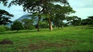 caceria de pato silbador, en el salvador