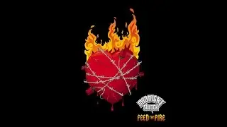 Midnight Switch - Feed the Fire