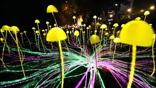 Mycelium Network- Glowing and colour changing mushroom ligh4ing display