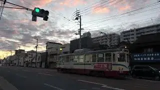 とさでん　路面電車　通勤　芝生？の朝　2024/11/19