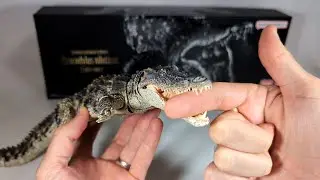 Обзор игры Bandai Diversity of Life Ultimate Nile Crocodile