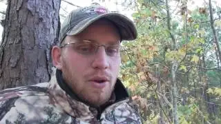 Wilcox Co. AL. - No Kill