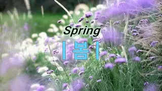 봄 | Spring | PanFlute연주