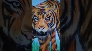 Drawing - Tiger☝🏻❤️&zwj;🔥🔥#drawing#tiger#animals 🐯