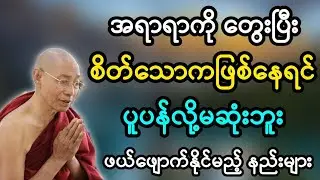 ပါချုပ်ဆရာတော်ဟောကြားအပ်သော လူတစ်ယောက်ဟာ တရားတစ်ပုဒ်ကြောင်း ဘဝပြောင်းသွားနိုင်သည် တရားတော်မြတ်။