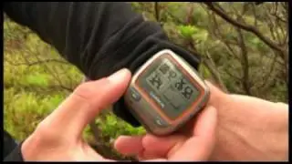 Reviewed: Garmin Forerunner 310 XT