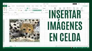 ¿Cómo insertar una imagen dentro de una celda de Excel?