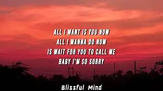 Rebzyyx - all i want is you (Lyrics) ft. hoshie star