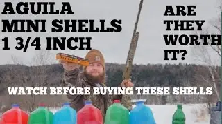 TESTING The SMALLEST SHOTGUN SHELLS In The WORLD! 1 3/4 INCH