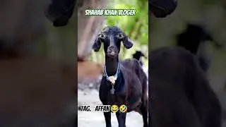 Tag Affan Name Wali Funny 🤣😂 video || Shahab khan Vloger|| #funny #comedy #shorts #trending #short