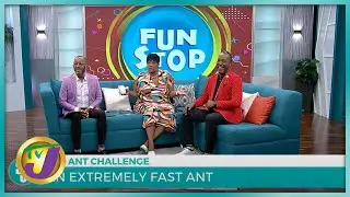 The 'Ant' Challenge – Fun Spot | TVJ Smile Jamaica