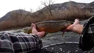 WwA Trout Fishing Highlights #57 (Music by Nat Keefe & Hot Buttered Rum)