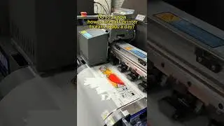 Real commercial DTF printer #dtfprinter #smallbusiness busin#customizedprinting #Powdershaker