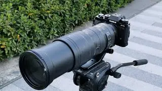 Nikon AFS200-500/5.6 on Fujifilm X-T3 AF tracking test (Fringer NF-FX prototype)